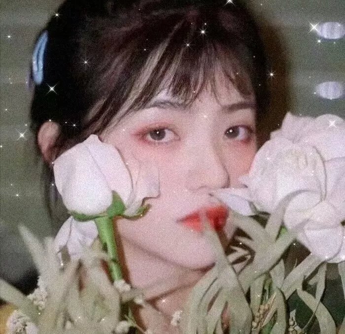 光荣的追寻第一季