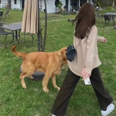 人在酒途