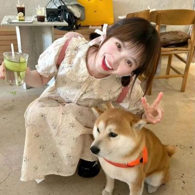 飞行艳使